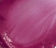 016 Odd Grape